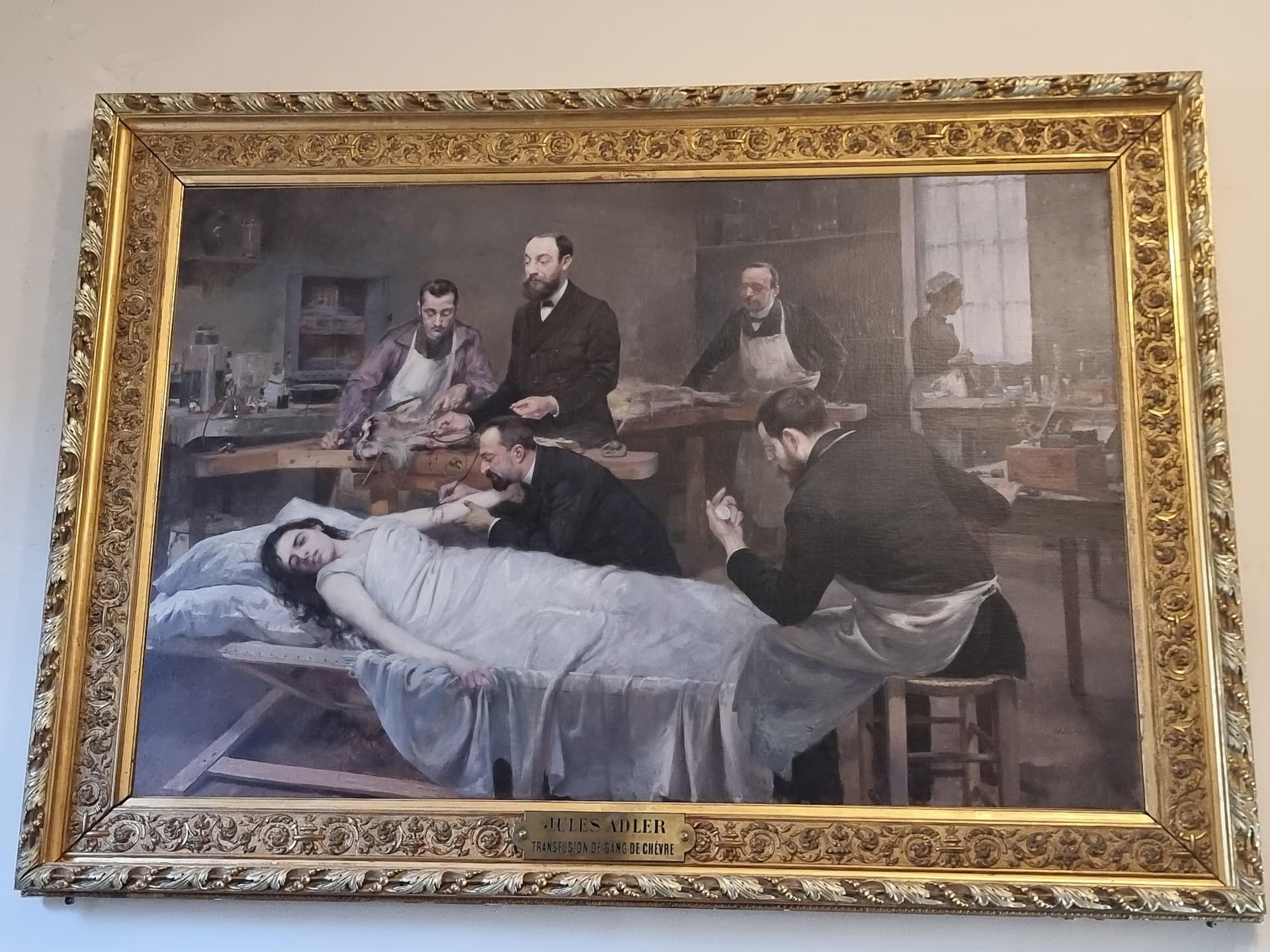 Musée d’histoire de la médecine