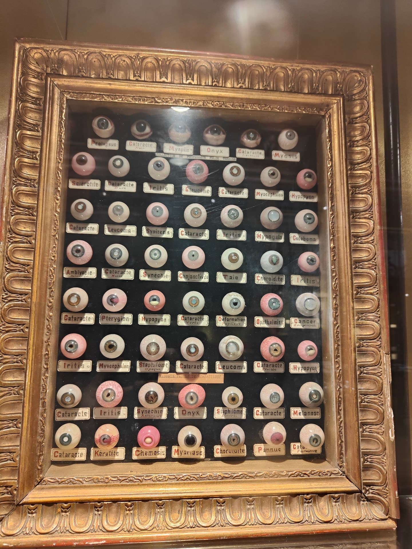 Musée d’histoire de la médecine