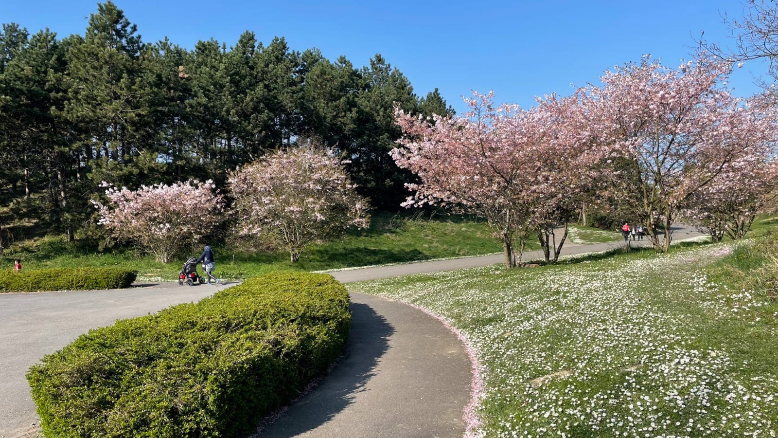 Parc Georges-Valbon