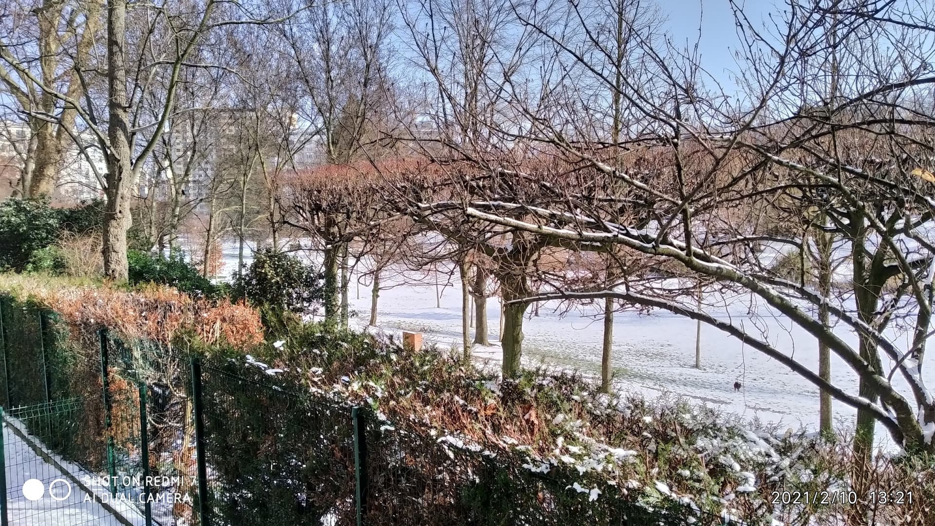 Parc Frédéric Pic