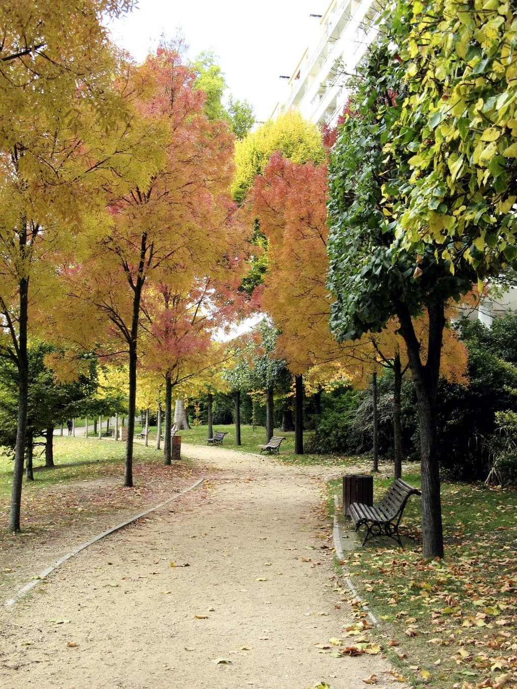 Parc Frédéric Pic