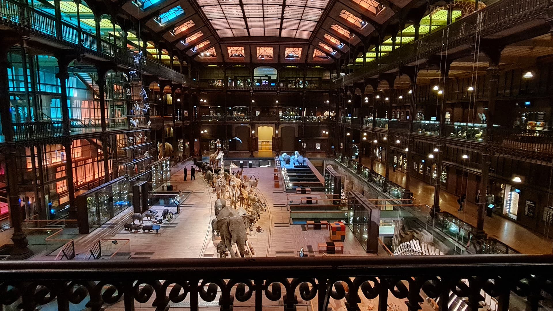 Jardin des Plantes