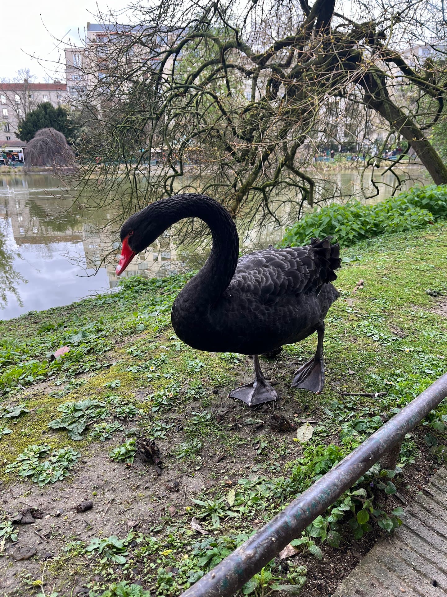 Park Montsouris