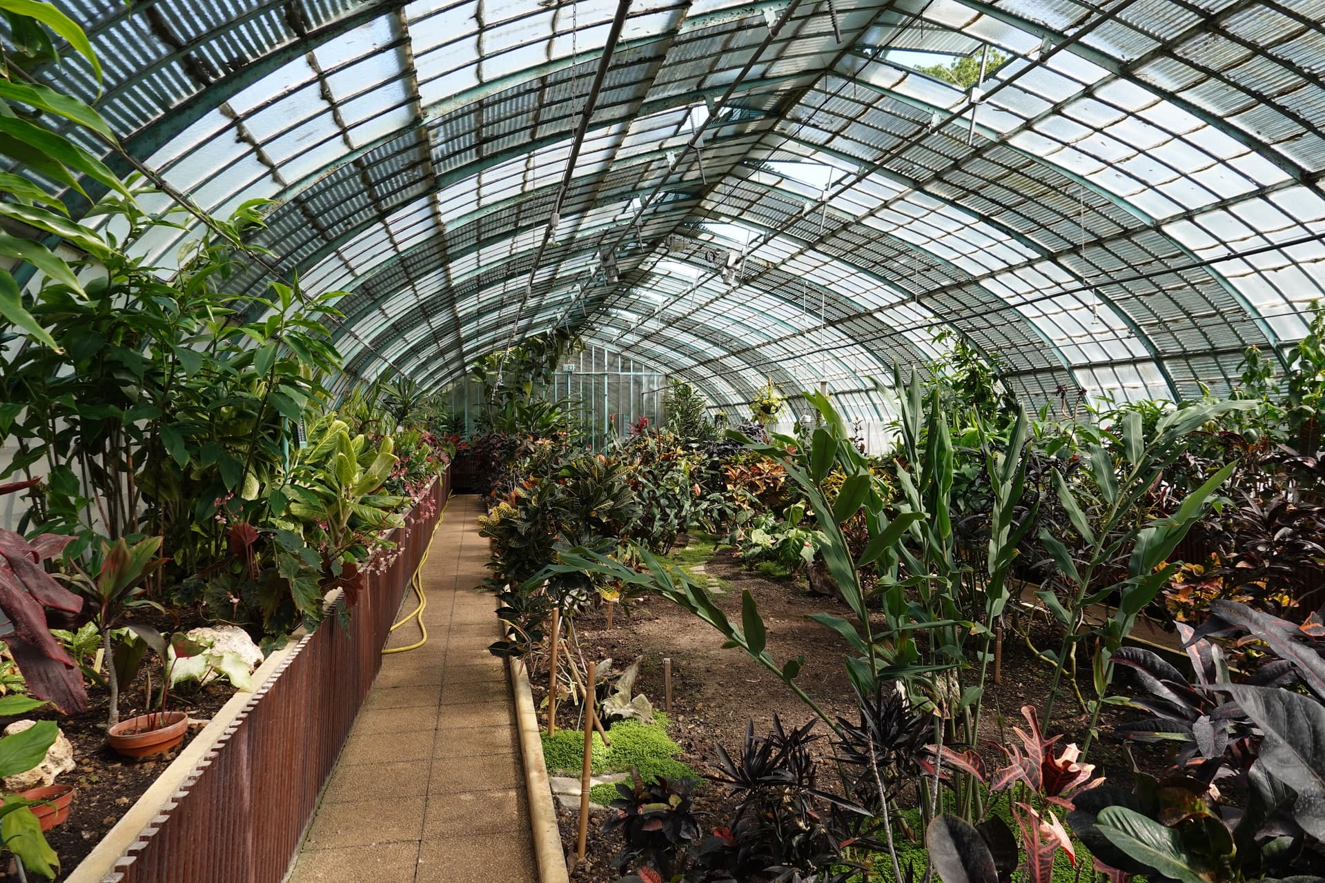 Jardin des Serres d'Auteuil, Paris – Listen to the Audio Guide