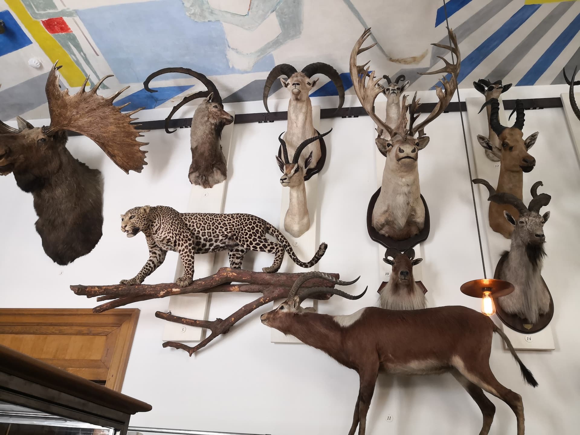 Musée de la Chasse et de la Nature, Paris – Listen to the Audio Guide