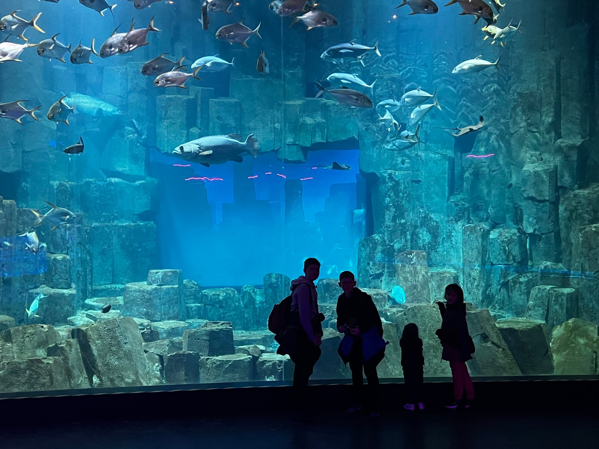 Aquarium de Paris, Paris - Listen to the Audio Guide