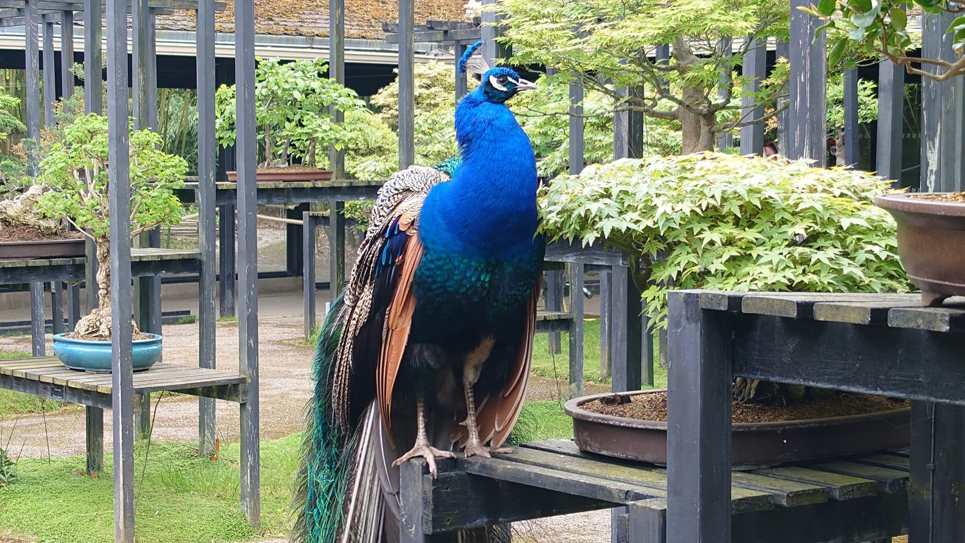 Parc Floral de Paris, Paris - Listen to the Audio Guide