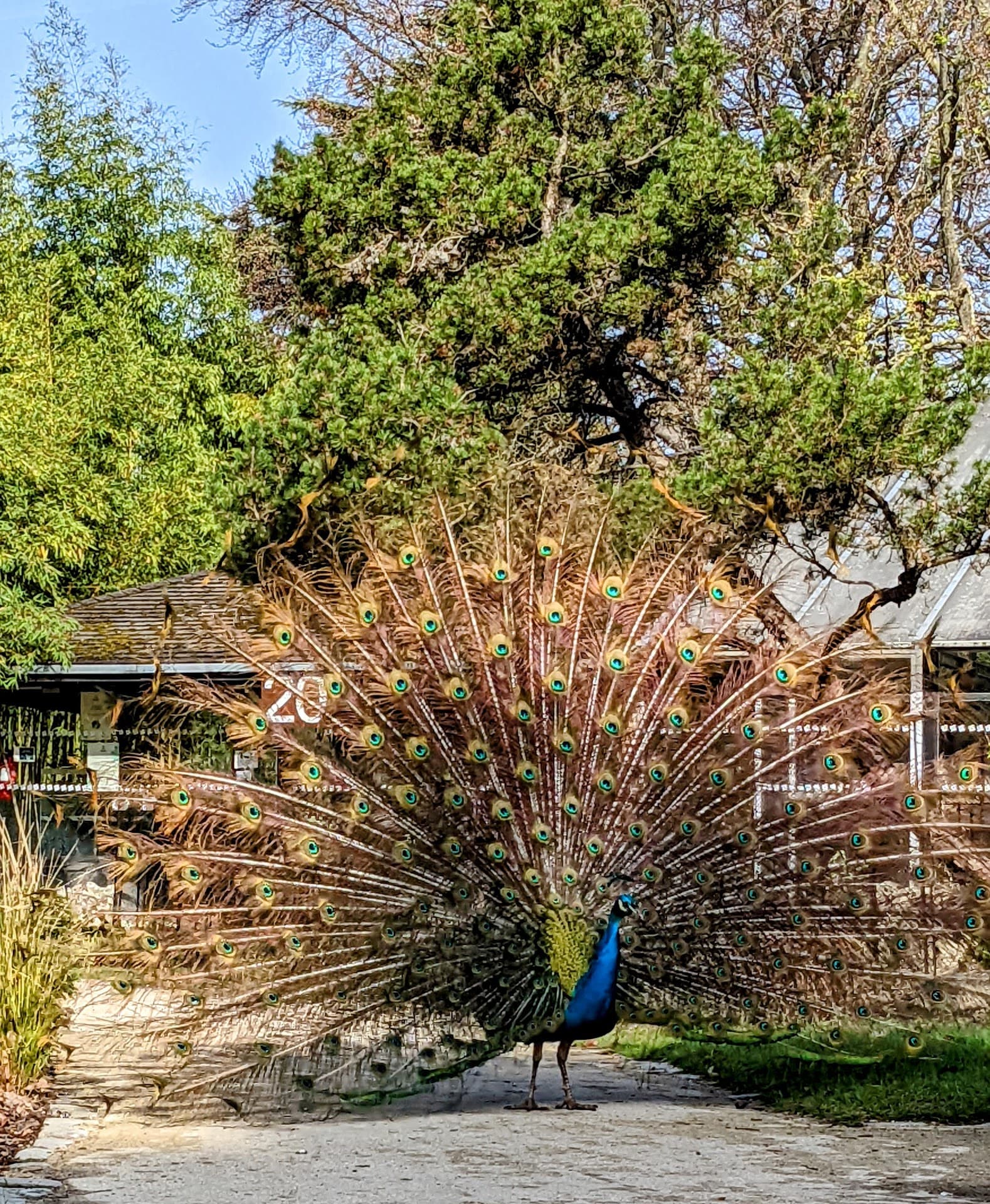 Parc Floral de Paris
