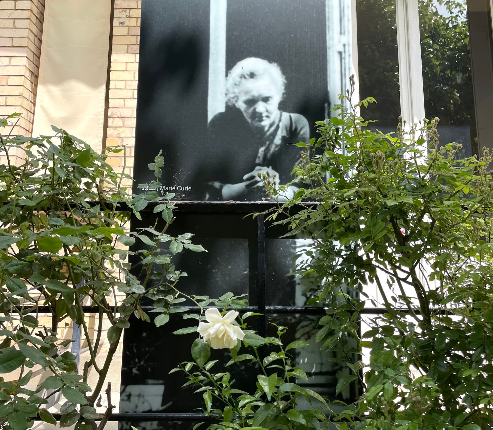 Curie Museum
